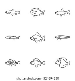 River fish icons set. Outline illustration of 9 river fish vector icons for web