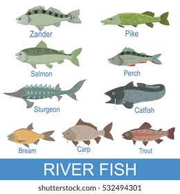 River Fish Identification Slate With Names