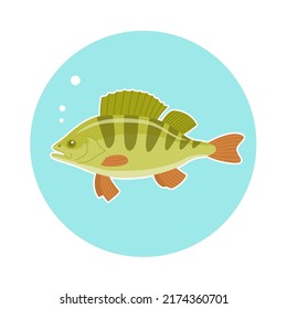 Percha de pescado del río. Cocina deliciosa. Vida submarina. Ilustración vectorial de dibujos animados