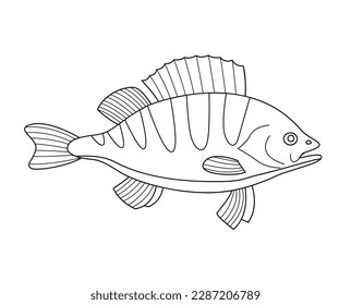 River fish perch. Cooking delicious food. Underwater life. Outline vector illustration black and white