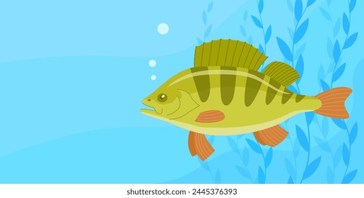 River fish perch. Cooking delicious food. Underwater life. Cartoon vector illustration. Banner with empty space for text