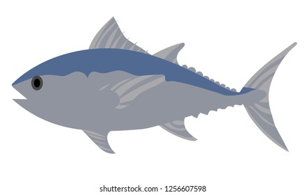 river fish vector on white background