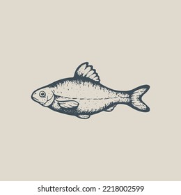 River Fish Vector Vintage Drawing. Vobla Sketch In Engraving Style. Used For Canning Jar Sticker, Shop Label Etc.