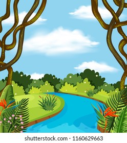 A river in forest landscape illustration