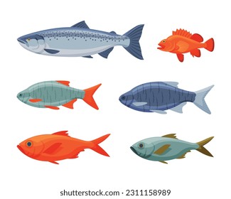 River or Freshwater Fish as Seafood Vector Set