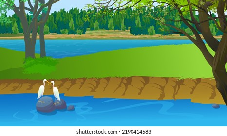 River inside the forest and some birds are drinking water in the river.