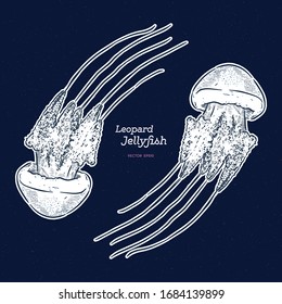 River jelly (Leopard jellyfish), hand draw sketch vector.