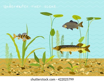 River Or Lake Underwater World. Water Plants, Fish. Flat Vector Background.