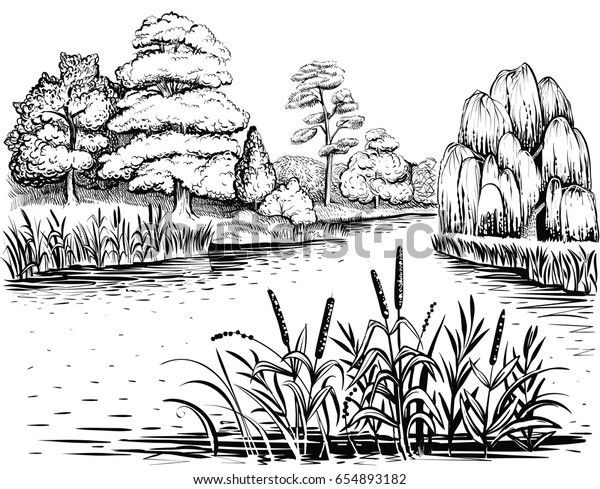 Pond outline : 11 046 images, photos et images vectorielles de stock ...