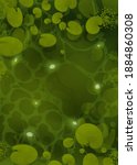 River with lilies top view. Green water surface with sunlight reflection and ripples. Water lilies in the swamp. Vector 