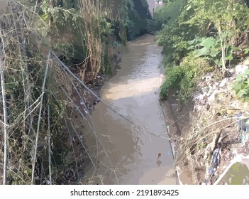 River with many plants around