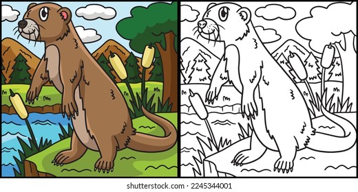 River Otter Coloring Page Colored Illustration