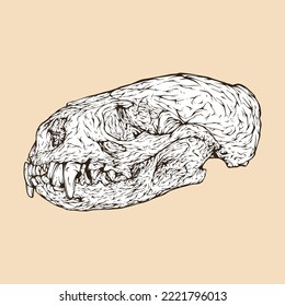 River Otter Skull Head Vector Illustration