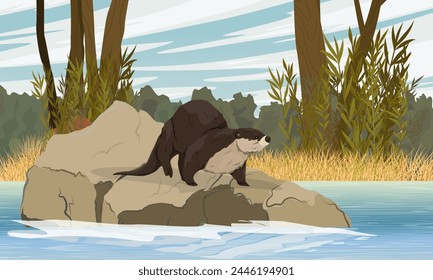 A river otter stands on a rock sticking out of the water. Lake Shore. Eurasian otter Lutra lutra. Realistic vector landscape