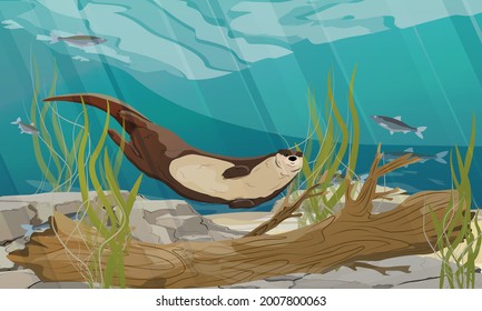 River otter swim in the river. The bottom of the pond with fish, algae and a sunken tree. Eurasian otter Lutra lutra. Wild semiaquatic mammal of Eurasia. Realistic vector landscape