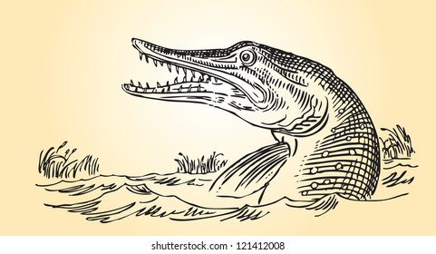 River predator - pike in vivo. Vector illustration.