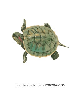 River red-eared turtle. Vector sea illustration in watercolor style. Design element for greeting cards, covers, themed flyers and banners.