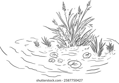 River scene sketch. Pond plants drawing. Linear art of lake landscape. Isolated water herb on hand drawn poster. Vector illustration