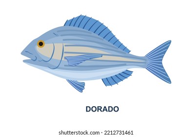 River or sea fish. Exotic sea animal for cooking. Dorado with shiny golden scales. Seafood fishing. Design element for infographics. Cartoon flat vector illustration isolated on white background