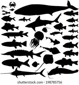 River, sea  fish food silhouette set. Marine fish and mammals. Seafood icon collection. Ocean underwater wildlife signs