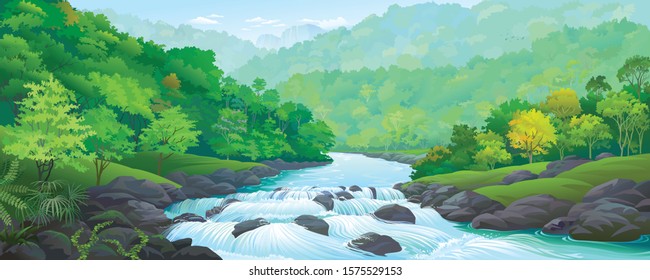 A river stream flowing across thick green forest