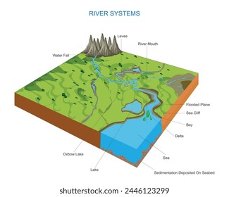 River systems and drainage basin educational structure vector illustration. Geological description with water flow from source to sea. Labeled scheme with levee, delta and oxbow.