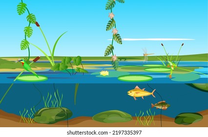 River tropical ecosystem and Underwater  landscape bird with dragonfly jungle vector 