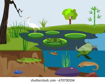 River underwater nature, scene, rivers inhabitants, vector.
