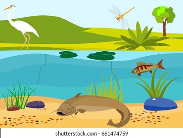 River Underwater Vector Illustration