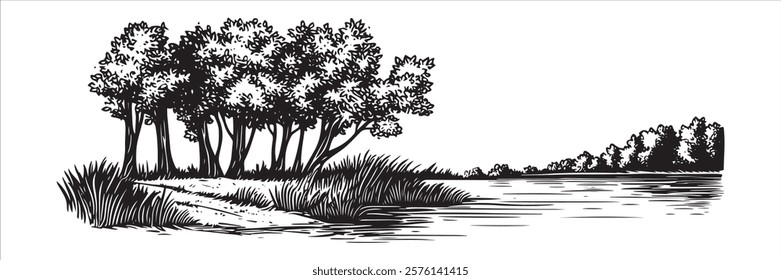 riverside landscape with trees and grassy path in black and white hand-drawn style