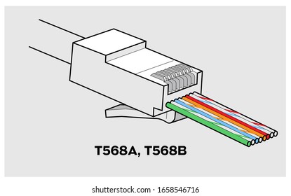 RJ45 Network Connector T568A/T568B Closeup view