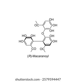 (R)-Macaranoyl skeletal structure.Tannin compound schematic illustration. Simple diagram, chemical structure.