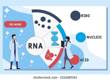 716 Regulation Acidity Images, Stock Photos & Vectors 