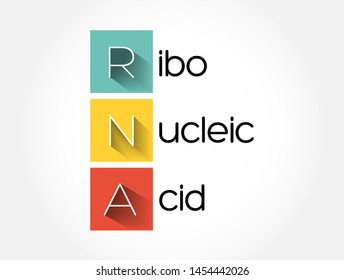 RNA - Ribonucleic acid acronym, medical concept background