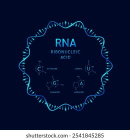 RNA or Ribonucleic acid gene double helix and Structure Adenine Uracil Guanine Cytosine. Chromosome nucleus cell genetic synthetic biology combined. Medical science vector.