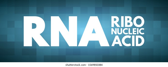 RNA Ribonucleic acid - polymeric molecule essential in various biological roles in regulation and expression of genes, acronym text concept background