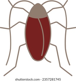roach bug cockroach kukaracha insect