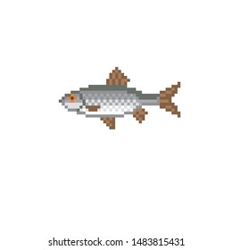 Roach fish pixel art icon. 8-bit. Element design for mobile app, web, sticker, logo. Game assets. retro graphic.