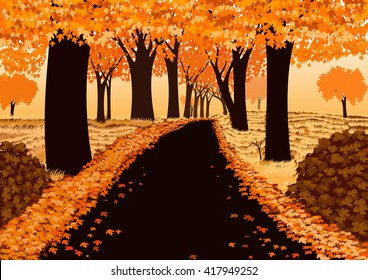 Road in autumn forest from imagine 