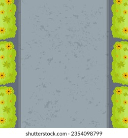 road with bushes top view
