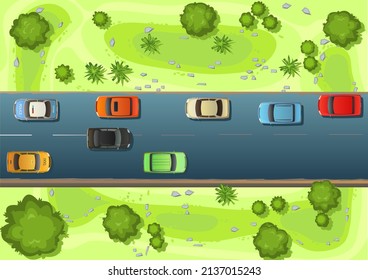 Road with car traffic. View from above. Meadow and fields with trees. Modern cars. Cartoon cute style illustration. Cars drive along the asphalt road. Vector.