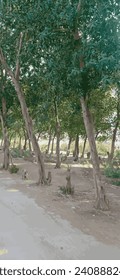 Road, clound and sky at moutain background | Plant park spring nature beautiful | Highway Road Side New Background | Tree Lined Road Pictures Photo | Tree Lined Road Pictures Photo Wide Green Grass 