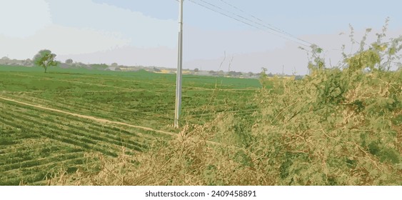 Road, clound and sky at moutain background | Plant park spring nature beautiful | Highway Road Side New Background | Tree Lined Road Pictures Photo | Tree Lined Road Pictures Photo Wide Green Grass ad