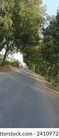 Road, clound and sky at moutain background | Plant park spring nature beautiful | Highway Road Side New Background | Tree Lined Road Pictures Photo | Tree Lined Road Pictures Photo Wide Green Grass ad