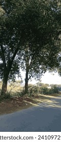 Road, clound and sky at moutain background | Plant park spring nature beautiful | Highway Road Side New Background | Tree Lined Road Pictures Photo | Tree Lined Road Pictures Photo Wide Green Grass ad