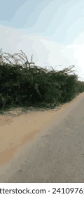 Road, clound and sky at moutain background | Plant park spring nature beautiful | Highway Road Side New Background | Tree Lined Road Pictures Photo | Tree Lined Road Pictures Photo Wide Green Grass ad