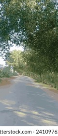 Road, clound and sky at moutain background | Plant park spring nature beautiful | Highway Road Side New Background | Tree Lined Road Pictures Photo | Tree Lined Road Pictures Photo Wide Green Grass ad
