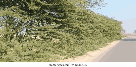 Road, clound and sky at moutain background | Plant park spring nature beautiful | Highway Road Side New Background | Tree Lined Road Pictures Photo | Tree Lined Road Pictures Photo Wide Green Grass ad
