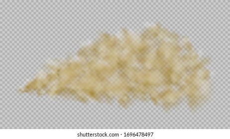 Nube de polvo de carretera con partículas de suciedad o suelo, polvo de color marrón salpicado en fondo transparente. smog urbano, textura de humo sucio.Contaminación del aire. Ilustración transparente y realista de las existencias vectoriales