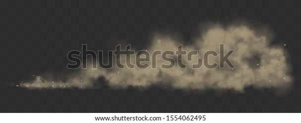 Road dust cloud from driving car or motorbike.\
Vector realistic splash of dirty powder, sand and stones under the\
wheels. Grunge texture of dusty trail from speed motion isolated on\
transparent grid
